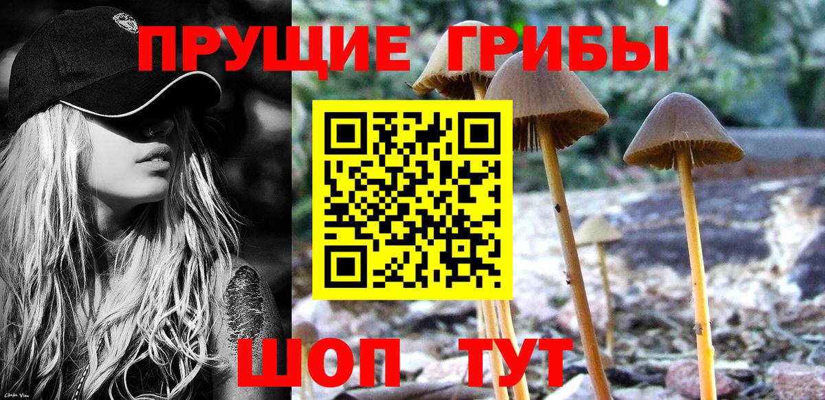 Гусиноозёрск  Псилоцибиновые грибы Magic Shrooms  Вход с VPN  Галлюциногенные грибы MAGIC MUSHROOMS 