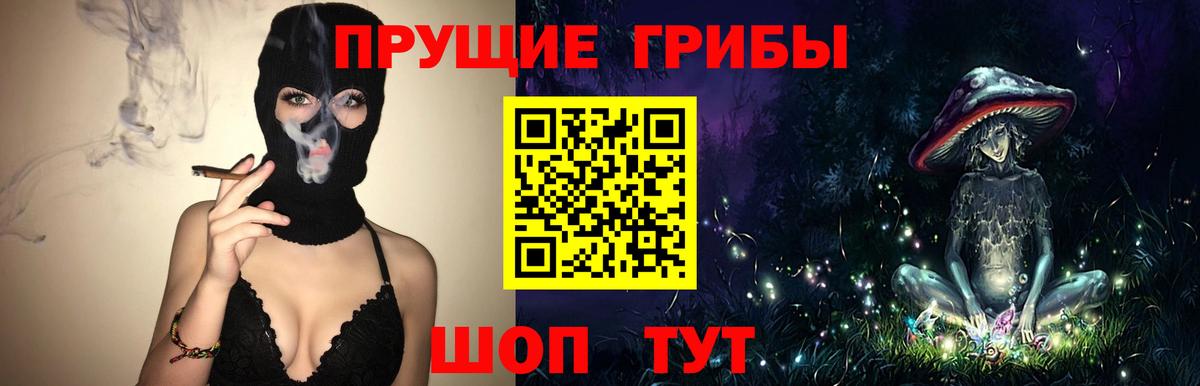 Псилоцибиновые грибы ЛСД Гусиноозёрск